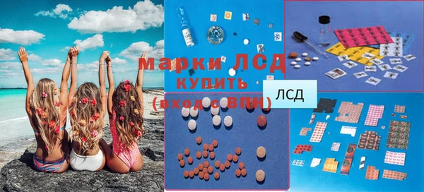стафф Корсаков