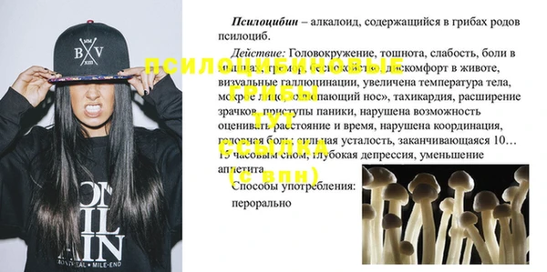 мдпв Алапаевск