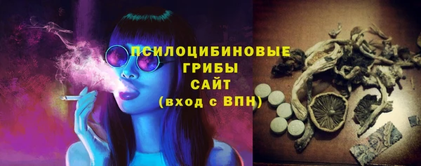 мдпв Алапаевск
