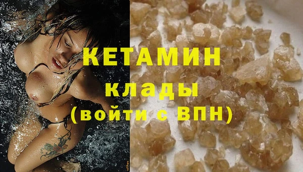 стафф Корсаков