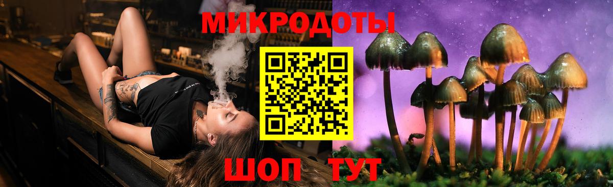 Галлюциногенные грибы Psilocybine cubensis Всеволожск